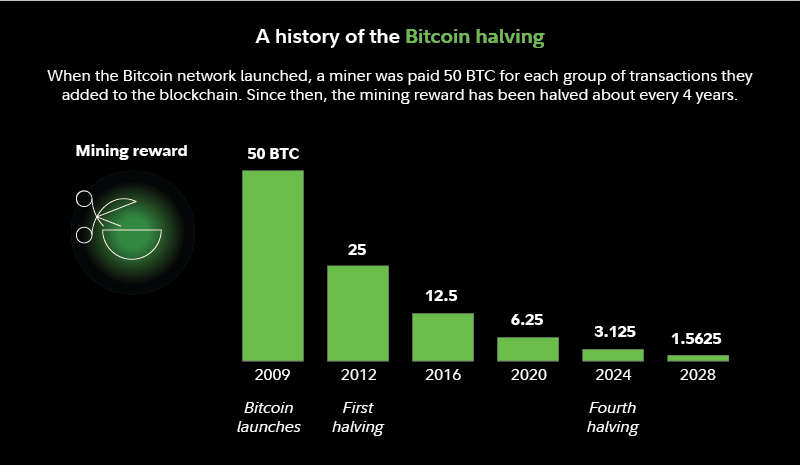 A chart showing the history of the bitcoin halving and how much mining rewards have been cut at each halving.